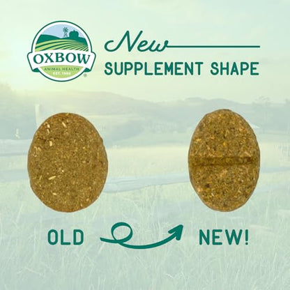 Oxbow Digestive Support Rabbit & Guinea Pig Supplement, Timothy Hay, 4.2 oz | Digestive Support, Timothy Hay, Rabbits, Guinea Pigs, Supplement, Chicory Root, Ginger Root, Chamomile, Healthy Digestion - size: 4.2 Ounce (Pack of 1)