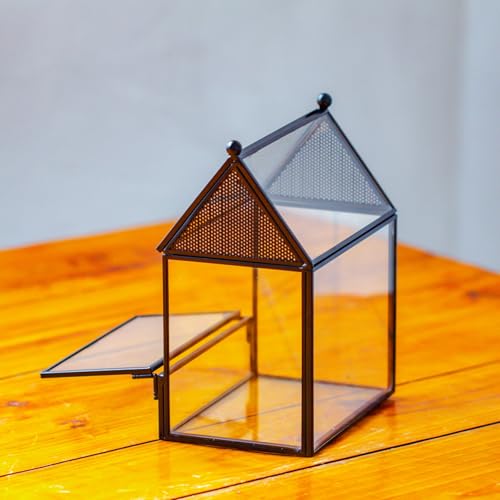 NCYP Small Glass Enclosure with Mesh for Jumping Spiders - 5.8" x 3.8" x 7" Micro House Shaped Small Spiders Vented Glass Terrarium, Home Decor Black (Glass Terrarium Only) - size: 5.8" x 3.8" x 7"