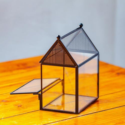 NCYP Small Glass Enclosure with Mesh for Jumping Spiders - 5.8" x 3.8" x 7" Micro House Shaped Small Spiders Vented Glass Terrarium, Home Decor Black (Glass Terrarium Only) - size: 5.8" x 3.8" x 7"
