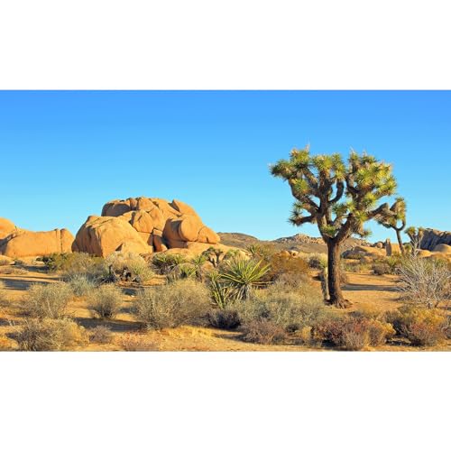 Desert Reptile Tank Background Joshua Tree Rocks Desert Terrarium Background Desert Landscape Reptile Terrarium Background Rocky Bush Reptile Habitat Background Bearded Dragon Tank Background 24x12in - color: Gobi Brown, size: 24(W)x12(H)inches/ 60(W)*30c