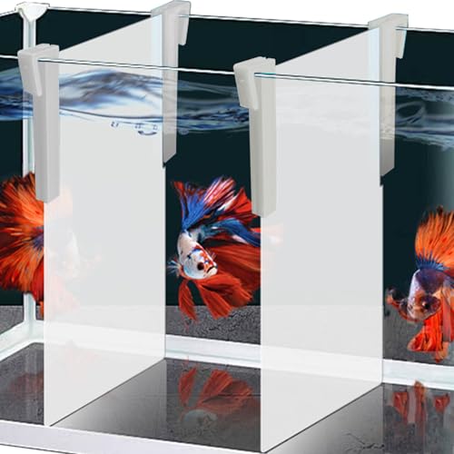 Aquarium Fish Tank Divider Holder - 2pcs Plastic Aquarium Plastic Divider Tray with Bracket Fish Tank Bottom Isolation Separator (White, 5.9 * 7.87") - color: White, size: 5.9*7.87"