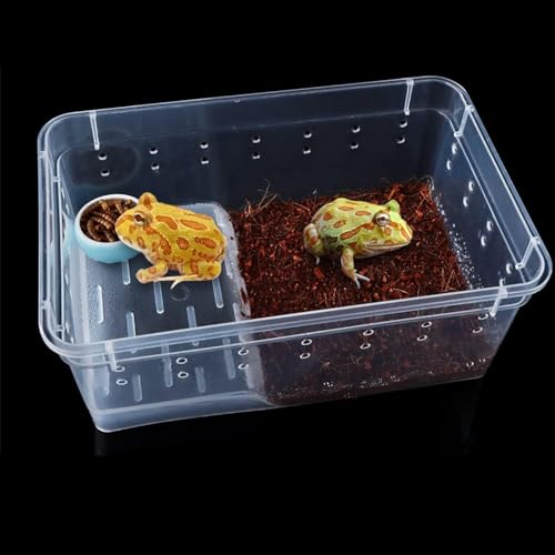 4pack Critter Keeper Ant Farm Cane Toad Trap Little Live Pets Bug Catcher Kit for Kids Frog Habitat Turtle Tank Reptile Terrariums Lizard Cage Fish Bowl Beach Aquarium Catch and Release - size: 4
