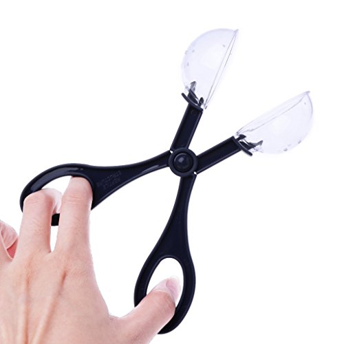 Reptile Feeding and Cleaning Tool, Amphibian Terrarium Spider Cricket Feeding Clamp Litter Clamp