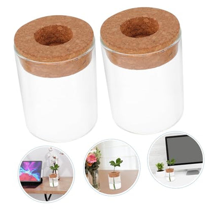 Mikikit 2pcs Glass Hydroponic Terrarium Jar for Indoor Plant Growth Decorative Ecosystem Container Home Office Desk Decor