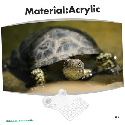 BESPORTBLE Transparent Acrylic Turtle Basking Platform Small Aquatic Reptile Resting Terrace Durable and Decorative Climbing Habitat for Turtle Tanks and Aquariums