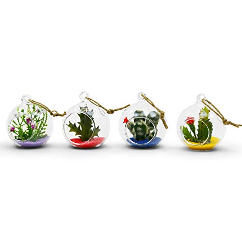WGV Hanging Terrarium Globe, Width 2.25", Height 2.75", DIY Air Succulent Planter, Clear Glass Vase Orb with Flat Bottom, Candle Holder for Windowsill Outdoor Garden Decor, 24 Pieces Bulk - size: 2" Flat Bottom
