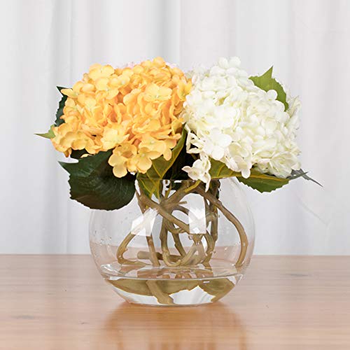 WGV Bowl Glass Vase, Diameter 6", Height 4.5", Open Width 4", (Multiple Sizes Choices) Clear Bubble Planter Terrarium Fish Bowl for Wedding Event Home Decor, 1 Piece (VBW0006A) - size: 6"D 1 Piece