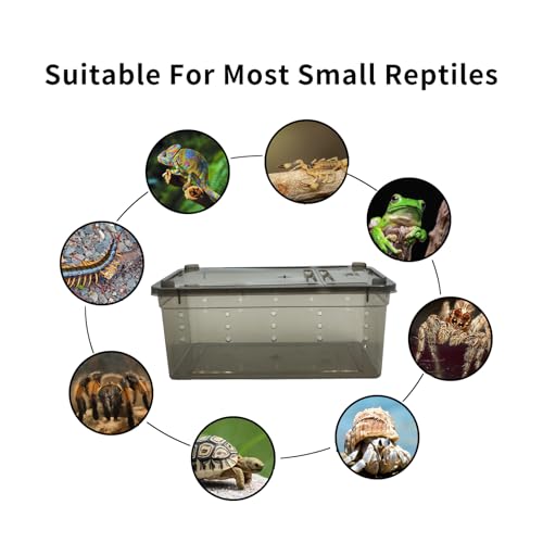 PINVNBY 8 PCS Reptile Feeding Box Portable Snake Breeding Box Reptile Transport Container 7.48"x4.92"x2.95" Plastic Pet Houses for Lizard Spider Scorpion Gecko Insect Tortoise Treefrog(Black)