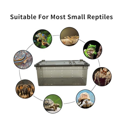 PINVNBY 8 PCS Reptile Feeding Box Portable Snake Breeding Box Reptile Transport Container 7.48"x4.92"x2.95" Plastic Pet Houses for Lizard Spider Scorpion Gecko Insect Tortoise Treefrog(Black)