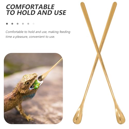 POPETPOP Pet Food Feeding Spoon Set Lizard Scoop for Food Spoon Mini Easy Handling - color: As Shown 3