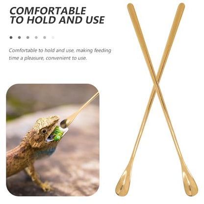 POPETPOP Pet Food Feeding Spoon Set Lizard Scoop for Food Spoon Mini Easy Handling - color: As Shown 3