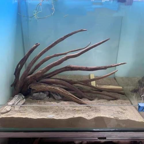AWXZOM Aquarium Driftwood Branches,2.2lb 9-14inch Long Driftwood for Aquarium Reptile Driftwood Branches Log Natural Driftwood for Aquarium Reptile Branches