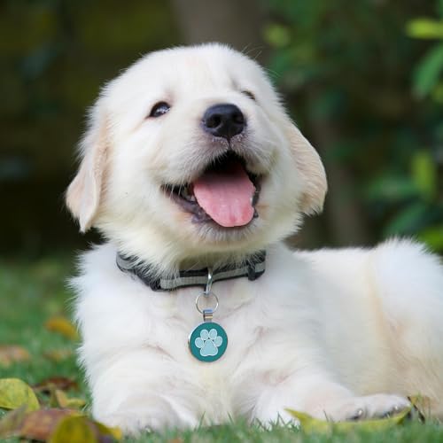MYLUCKYTAG QR Code Pet ID | Personalized Dog & Cat Collar Tag | Online Profile with Instant Scanned Location Alert Email - style: Blue Paw