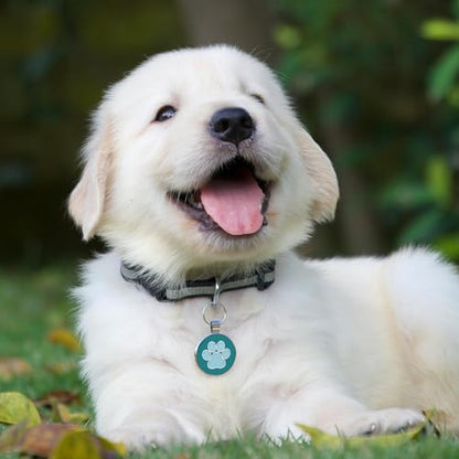MYLUCKYTAG QR Code Pet ID | Personalized Dog & Cat Collar Tag | Online Profile with Instant Scanned Location Alert Email - style: Blue Paw