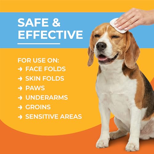 3% Chlorhexidine Wipes for Dogs and Cats - Cleansing Antiseptic, Antibacterial, Antifungal Wipes with Aloe for Skin Infections, Itchy Yeast Paws, Cat Acne - size: 50