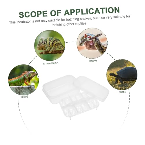 POPETPOP Box Compartments for Efficient Hatching Plastic Incubation Container for Lizards Geckos Snakes and Other Reptiles