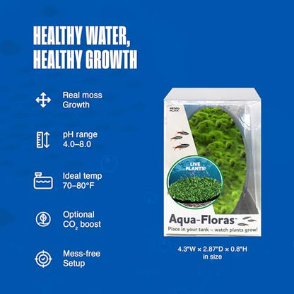 Penn-Plax Aqua Flora Moss Patch - Aquarium Living Resin Decoration with Embedded Glosso Seeds - Easy-Grow Freshwater Moss for Natural Aquascapes - Safe Resin Decor - Green, 4.3 x 2.87 x 0.8 Inches