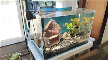 AWXZOM Small Nano Tall Rimless Tank, Glass Fish Tank, Betta Fish Tank, Aquarium (2.85 Gal, 11.8x6.7x7.8 inch) - size: 2.85 Gallon 11.8x6.7x7.8inch/30x17x20cm