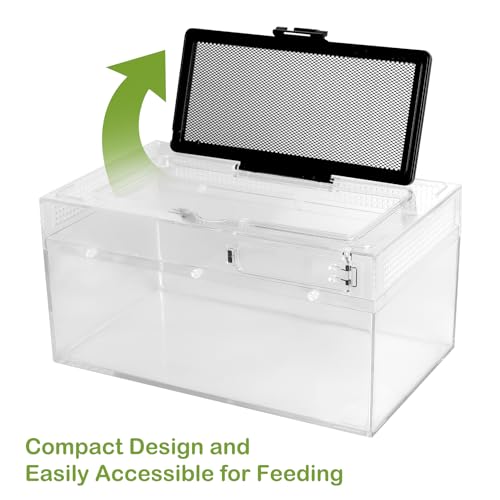 Reptile PC Terrarium Amphibian Tank Spider Enclosure Snake Cage 7x11.8x5.9inch Suitable for breeding Leopard Gecko,Frog,Hermit Crab,Lizards,Isopod,Tarantula,Turtles,Chameleons,Jumping Spiders - color: Transparent, size: Large