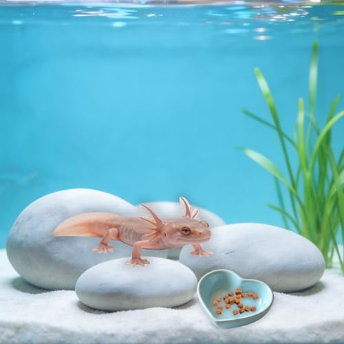 Axolotl Hammock Ledge for Aquarium, Axolotl Feeding Shelf with Feeder Bowl, Ceramic Heart Shape Feeding Dish, Tank Accessories for Bearded Dragons, Geckos, Lizards