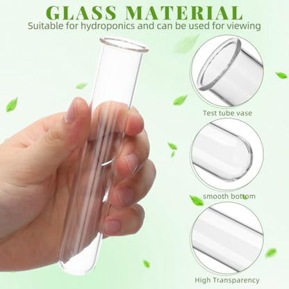 4Pcs Hydroponic Glass Test Tube Vases for Flower Propagation Small Plant Terrarium Holders Space-Saving 5.90X1.18X1.18In Home Office Decoration