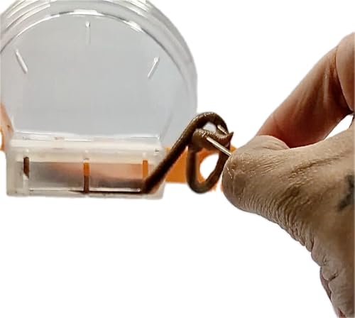 Patented All-In-One Live Bait Fishing Tool, Hands-Free Bait Chamber for Minnows/Worms/Crickets, Bait & Tackle Storage, Clear Lid, Ergonomic Handle