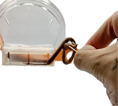 Patented All-In-One Live Bait Fishing Tool, Hands-Free Bait Chamber for Minnows/Worms/Crickets, Bait & Tackle Storage, Clear Lid, Ergonomic Handle