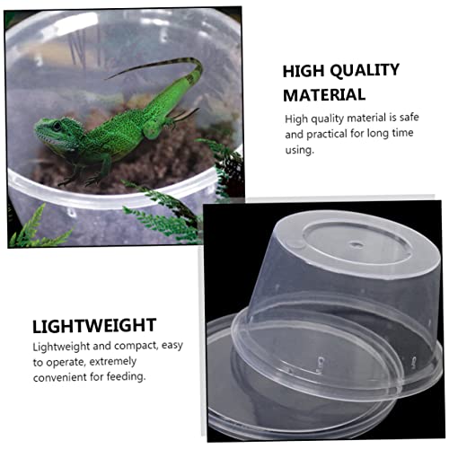 FOMIYES 20pcs Reptile Breeding Boxes Gecko Containers for Pets Lightweight Feeding Box for Quarantine Habitat Easy to Clean and DIY