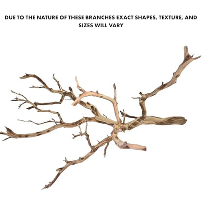 Koyal Wholesale California Driftwood with Natural Brown Branches, 36-Inch Large Driftwood Decor - size: 36 Inches