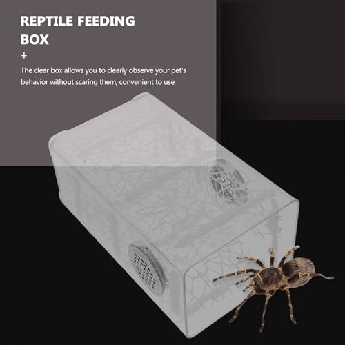 Jumping Spider Enclosure and Small Reptile Habitat Box, Plastic Feeding Terrarium for Frogs, Turtles, Bearded Dragons, and Chameleons, Compact Micro Vivarium for Home and Office
