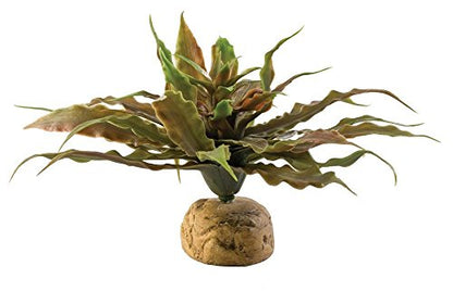 Exo Terra Star Cactus & Turtle Grass Terrarium Plant Bundle