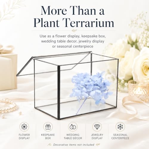 Small Glass Terrarium with Lid, Rectangle Geometric Planter Box, Clear Glass Container for Succulents, Moss, Air Plants, Ferns, Cactus, Tabletop Plant Display Decor, 6.7 x 3.9 x 4.7 in - size: Small Rectangle