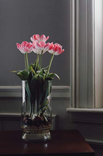 WGV Unique Bouquet Vase, 5.5" W, 8" H, Clear Short Hurricane Glass Candle Holder, Floral Planter Terrarium, Home Wedding Event Decor, 1 Piece (VHV0808) - size: Hurricane 8"H