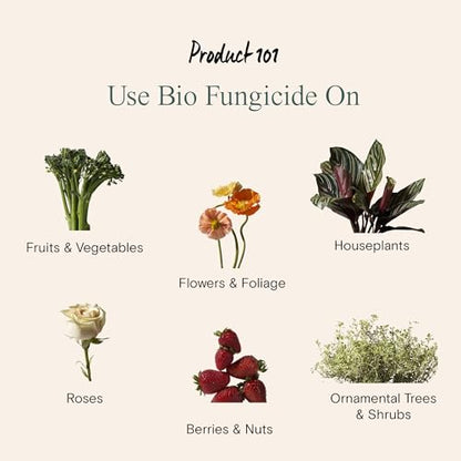 32 oz Spray Bottle for Plants - Misting Refillable Trigger Sprayer | ARBER's Translucent refillable trigger sprayer with fine mist to stream settings; leakproof heavy-duty plastic for gardening