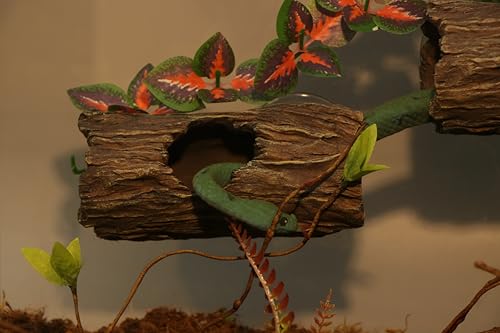 AQUA KT Reptile Tree Trunk Hideout Hollow Log Sleeping Cave for Arboreal Crested Leopard Gecko Lizard Climbing Toys Terrarium Decoration