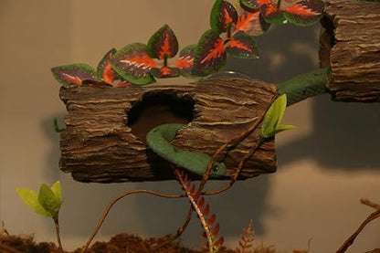 AQUA KT Reptile Tree Trunk Hideout Hollow Log Sleeping Cave for Arboreal Crested Leopard Gecko Lizard Climbing Toys Terrarium Decoration