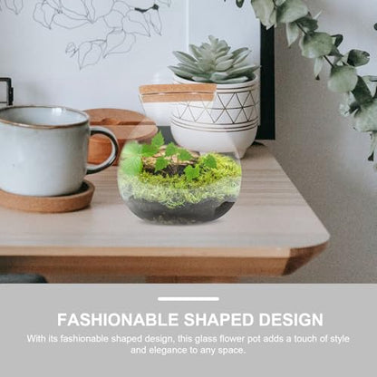 Abaodam Glass Terrarium Jar with Led Light Base, Small Container for Indoor Plants, DIY Micro Landscape Ecosystem Kit for Fish Tank Desktop Decor