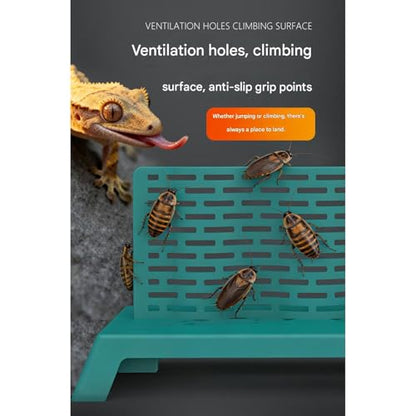 Climbing Feeder for Cockroach and Small Reptiles Features Quick Assembly Design Dragon Feeding