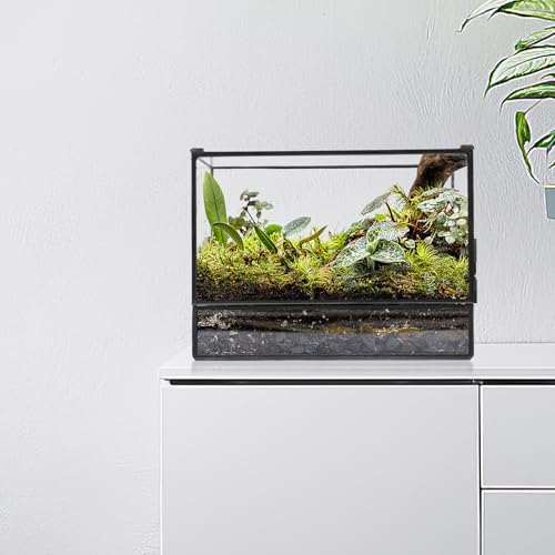 Happyyami Glass Terrarium Micro Landscape Container for Indoor Desktop Ecosystem Moss Planter Small Geometric Glass Holder 145x80x195mm Suitable for Succulent and Moss Gardening