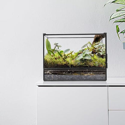 Happyyami Glass Terrarium Micro Landscape Container for Indoor Desktop Ecosystem Moss Planter Small Geometric Glass Holder 145x80x195mm Suitable for Succulent and Moss Gardening