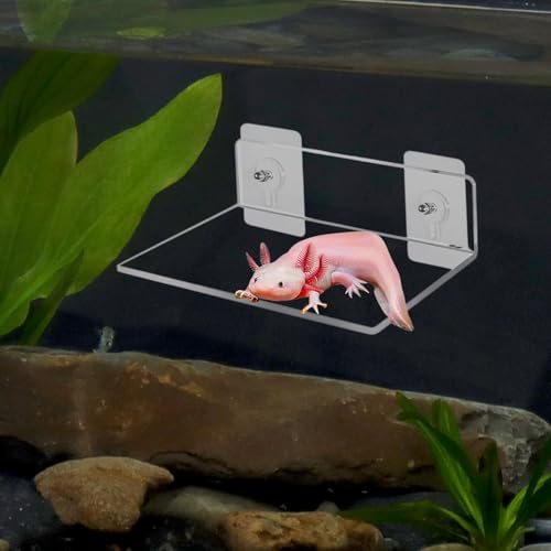 Axolotl Hammock Ledge for Aquarium, Axolotl Feeding Shelf with Feeder Bowl, Ceramic Heart Shape Feeding Dish, Tank Accessories for Bearded Dragons, Geckos, Lizards