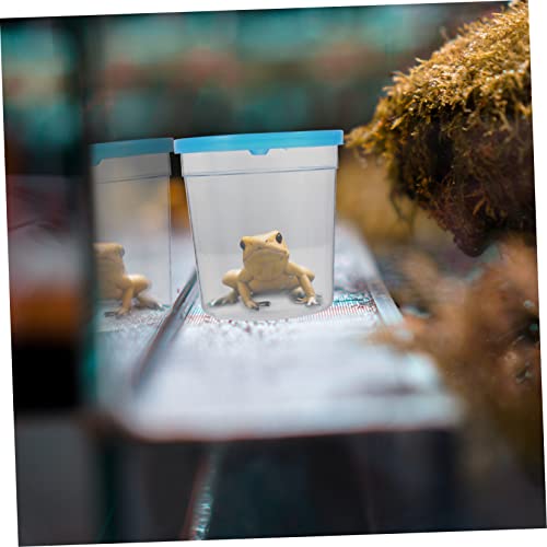 Reptile Feeding Box Plastic Escape Prevention Case | Betta Fish Use, Plastic Build, Compact Size for Breeding or Feeding, Simple Single-Piece Setup