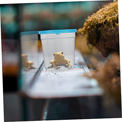 Reptile Feeding Box Plastic Escape Prevention Case | Betta Fish Use, Plastic Build, Compact Size for Breeding or Feeding, Simple Single-Piece Setup