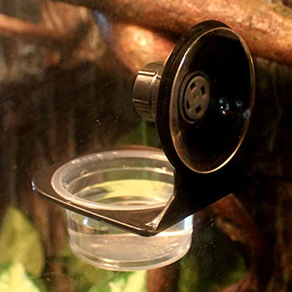 2 Pack Reptile Feeder Gecko Lizard Feeding Cup with Suction Cup, Reptile Food Water Feeder Dish with 6 pcs Cups for Geckos,Chameleon Lizard (Single（Black）) - size: Single（BLACK）