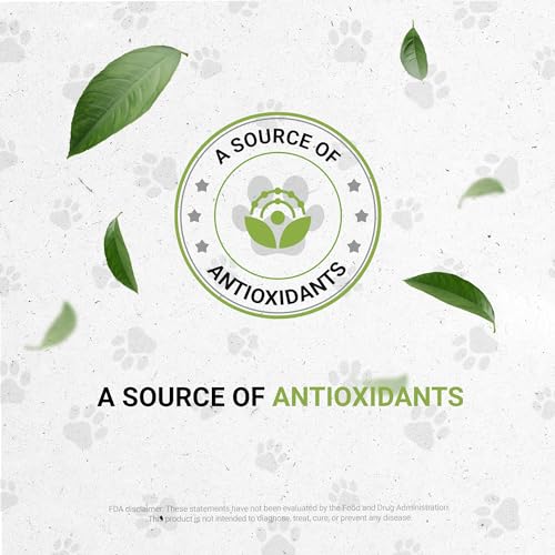 Wolf's Immune Boost | Natural Herbal Dietary Supplement for Dogs | Immune Support in Dogs | Alcohol-Free Extract, Elder Flowers, Calendula, Dandelion Root, Lemon Balm, Fennel 2 oz - style: Immune Boost