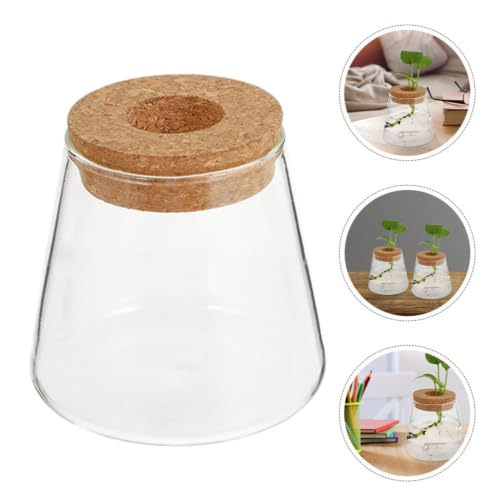 3pcs Glass Plant Propagation Station with Wood Lid, Desktop Hydroponic Vase for Flowers and Plants, Stylish Glass Terrarium for Office Desk or Corner, Ensures Clean Indoor