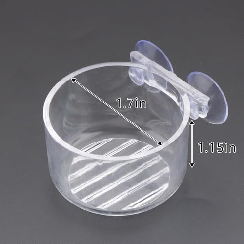 4 Pcs Jumping Spider Feeding Dish Water Bowl with Suction Cup for Jumping Spider Tarantula Millipede Small Reptiles
