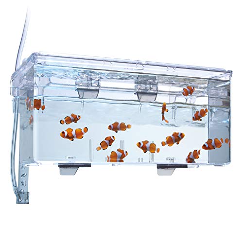Fluval Multi-Chamber Holding and Breeding Box, Large – Up to 3 Separate Housing Compartments (Pack of 6) - size: Large (Pack of 6)
