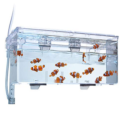 Fluval Multi-Chamber Holding and Breeding Box, Large – Up to 3 Separate Housing Compartments (Pack of 6) - size: Large (Pack of 6)