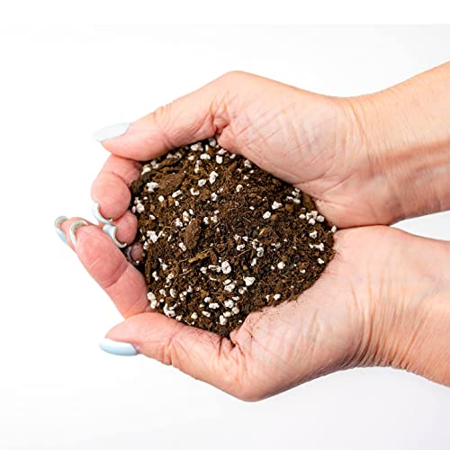Premium House Plant and Tropical Plant Potting Soil - Re-Potting Soil for All Types of Indoor House Plants - 2 Quart - color: TROPICAL HOUSE PLANT POTTING MIX, size: 2 Quart